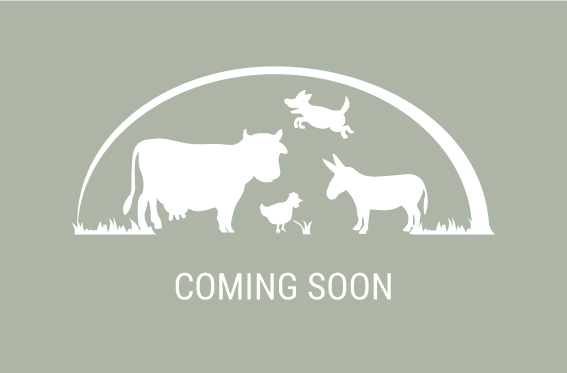 Coming soon to Willow Creek Sanctuary