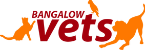 Bangalow Vets